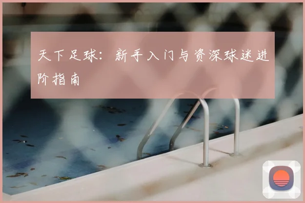 天下足球：新手入门与资深球迷进阶指南