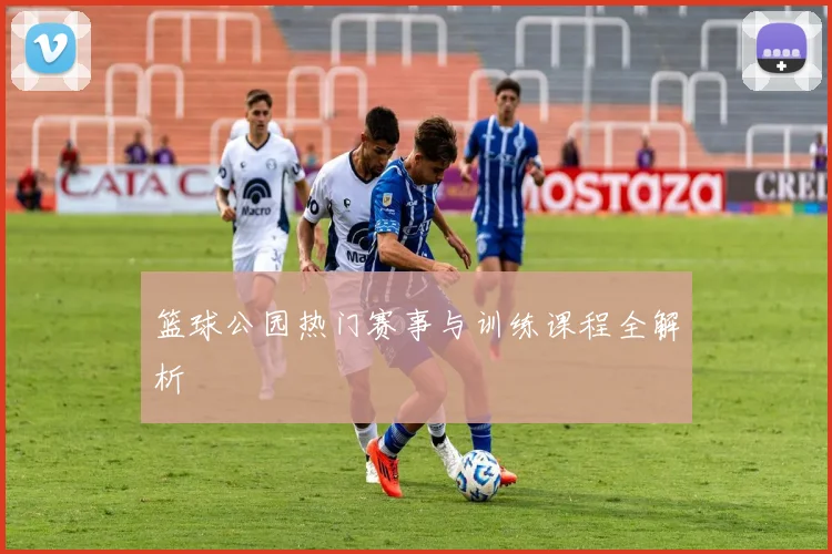 篮球公园热门赛事与训练课程全解析