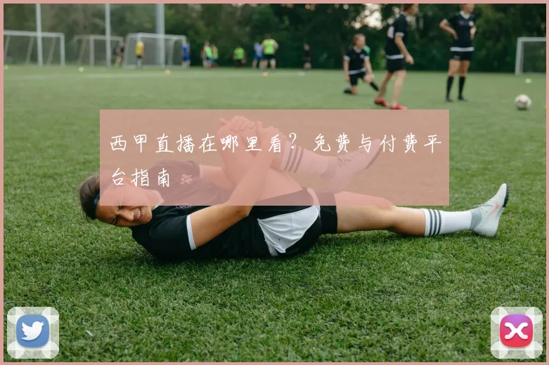 西甲直播在哪里看？免费与付费平台指南