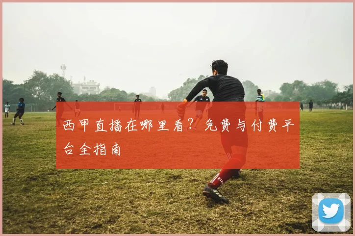 西甲直播在哪里看？免费与付费平台全指南