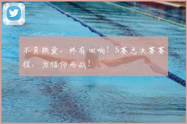 不负热爱，终有回响！S赛总决赛赛程，为信仰而战！